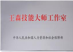 王森技能大师工作室