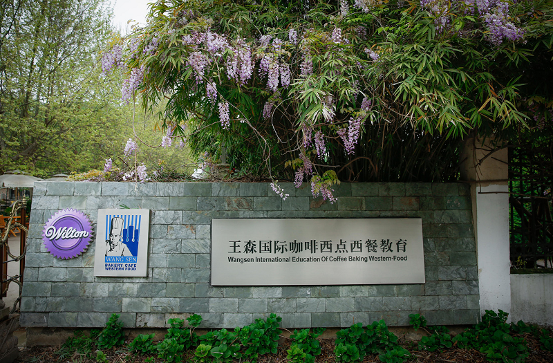 集团化升级转型