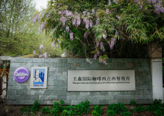集团化升级转型