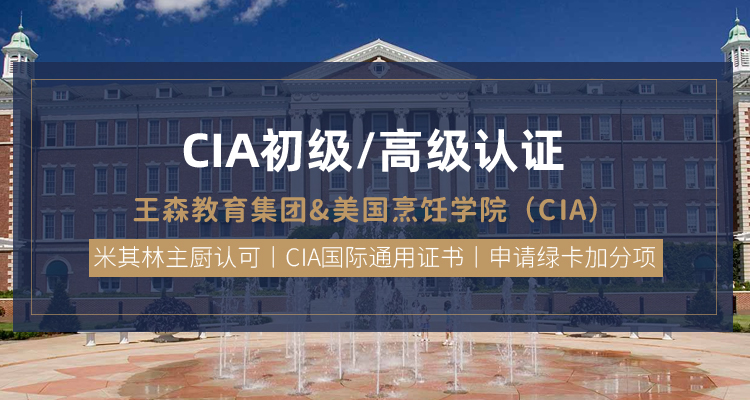 CIA初级/高级认证课程